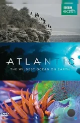 Атлантика: Самый необузданный океан на Земле / Atlantic: The Wildest Ocean on Earth (2015) Атлантика: Самый необузданный океан на Земле / Atlantic: The Wildest Ocean on Earth (2015)