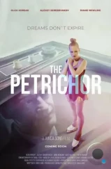 Петрикор / The Petrichor (2020) Петрикор / The Petrichor (2020)