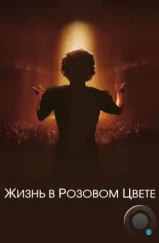 Жизнь в розовом цвете / La môme (2007) Жизнь в розовом цвете / La môme (2007)