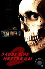 Зловещие мертвецы 2 / Evil Dead II (1987) Зловещие мертвецы 2 / Evil Dead II (1987)