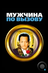 Мужчина по вызову / Deuce Bigalow: Male Gigolo (1999) Мужчина по вызову / Deuce Bigalow: Male Gigolo (1999)