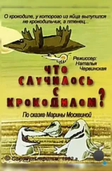 Что случилось с крокодилом? (1982) Что случилось с крокодилом? (1982)
