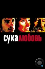 Сука-любовь / Amores perros (2000) Сука-любовь / Amores perros (2000)