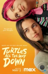 Черепахи – и нет им конца / Turtles All the Way Down (2024) Черепахи – и нет им конца / Turtles All the Way Down (2024)