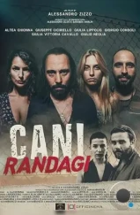 Бродячие псы / Cani randagi (2023) Бродячие псы / Cani randagi (2023)
