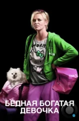Бедная богатая девочка / Young Adult (2011) Бедная богатая девочка / Young Adult (2011)