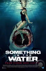 Челюсти. Кровавый риф / Something in the Water (2024) Челюсти. Кровавый риф / Something in the Water (2024)