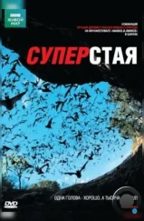 BBC: Суперстая / SuperSwarm: Nature's Incredible Invasions (2009) BBC: Суперстая / SuperSwarm: Nature's Incredible Invasions (2009)