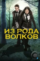Волчья кровь / Wolfblood (2012) Волчья кровь / Wolfblood (2012)