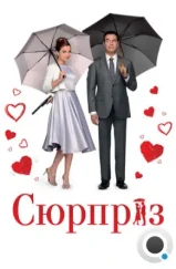 Сюрприз / De Surprise (2015) Сюрприз / De Surprise (2015)