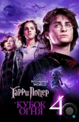 Гарри Поттер и Кубок Огня / Harry Potter and the Goblet of Fire (2005) Гарри Поттер и Кубок Огня / Harry Potter and the Goblet of Fire (2005)
