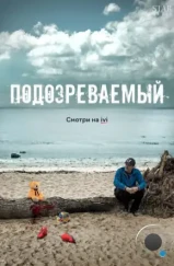 Подозреваемый (2017)