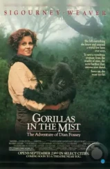 Гориллы в тумане / Gorillas in the Mist: The Story of Dian Fossey (1988) Гориллы в тумане / Gorillas in the Mist: The Story of Dian Fossey (1988)