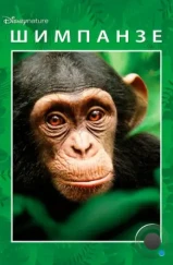Шимпанзе / Chimpanzee (2012) Шимпанзе / Chimpanzee (2012)