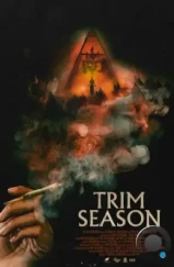 Сезон срезки / Trim Season (2023) Сезон срезки / Trim Season (2023)