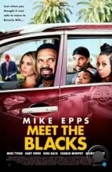 Знакомьтесь, семейка Блэков / Meet the Blacks (2016) Знакомьтесь, семейка Блэков / Meet the Blacks (2016)
