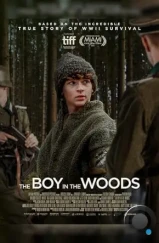 Мальчик в лесу / The Boy in the Woods (2023) Мальчик в лесу / The Boy in the Woods (2023)