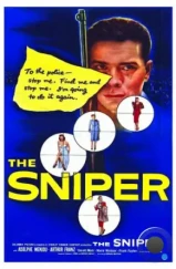 Снайпер / The Sniper (1952) A Снайпер / The Sniper (1952) A