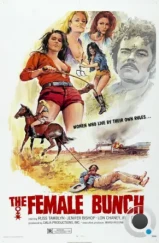 Женская компания / The Female Bunch (1971) L1 Женская компания / The Female Bunch (1971) L1