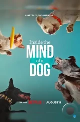 О чем думают собаки / Inside the Mind of a Dog (2024) О чем думают собаки / Inside the Mind of a Dog (2024)