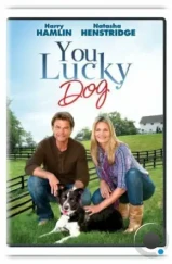Везунчик / You Lucky Dog (2010) Везунчик / You Lucky Dog (2010)