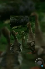 История любви одной лягушки (2005) История любви одной лягушки (2005)