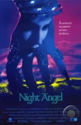 Ночной ангел / Night Angel (1990) Ночной ангел / Night Angel (1990)