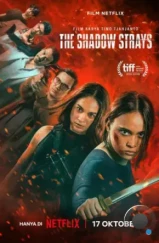 Блуждающая тень / The Shadow Strays (2024) Блуждающая тень / The Shadow Strays (2024)