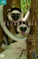 BBC: Мадагаскар / Madagascar (2011) A BBC: Мадагаскар / Madagascar (2011) A