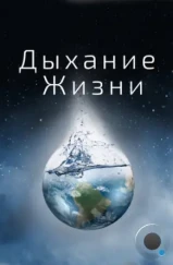 Дыхание жизни / Breath of Life (2014) Дыхание жизни / Breath of Life (2014)