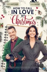 Как влюбиться к Рождеству / How to Fall in Love by Christmas (2023) Как влюбиться к Рождеству / How to Fall in Love by Christmas (2023)