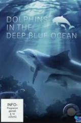 Дельфины в океанской синеве / Dolphins in the Deep Blue Ocean (2009) Дельфины в океанской синеве / Dolphins in the Deep Blue Ocean (2009)