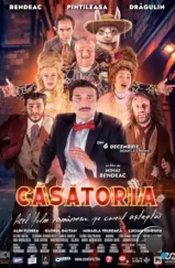 Брак по расчету / Casatoria (2024) Брак по расчету / Casatoria (2024)