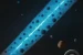 Trxps - The Void (2024)