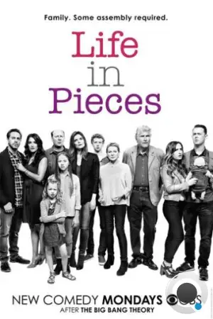 Жизнь в деталях / Life in Pieces (2015)