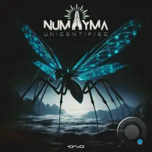  Numayma - Unidentified (2024) 