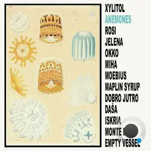  Xylitol - Anemones (2024) 