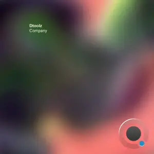  Dtoolz - Company (2024) 