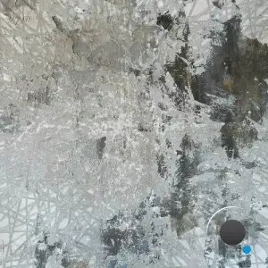  Xanexx - Crossing the Borderline (2024) 