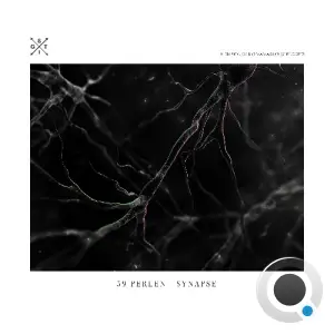  59 Perlen - Synapse (2024) 