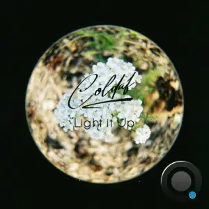  Coldaf - Light it Up (2024) 
