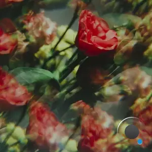  Ben Böhmer - Bloom (2024) 