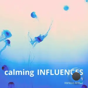  Calming Influences, Vol. 1 (2024) 
