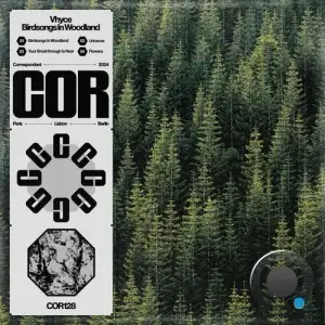  Vhyce - Birdsongs In Woodland (2024) 