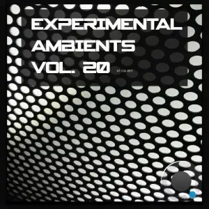  Experimental Ambients, Vol. 20 (2024) 