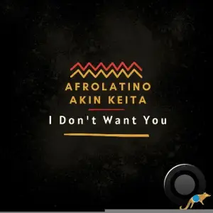  Afrolatino - I Don't Want You (2024) 