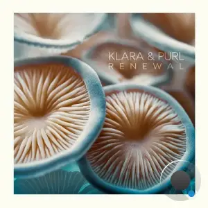  Klara & Purl - Renewal (2024) 