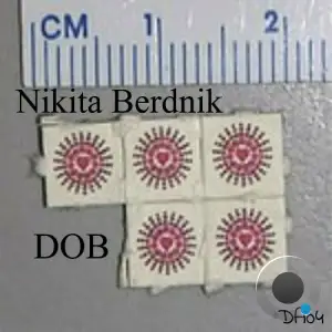  Nikita Berdnik - DOB (2024) 