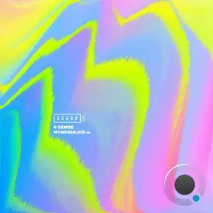  6 Sense - Hydraulics (2024) 