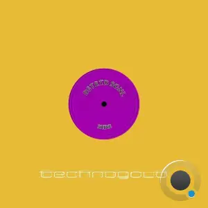  DSTRTD SGNL - Shine (2024) 